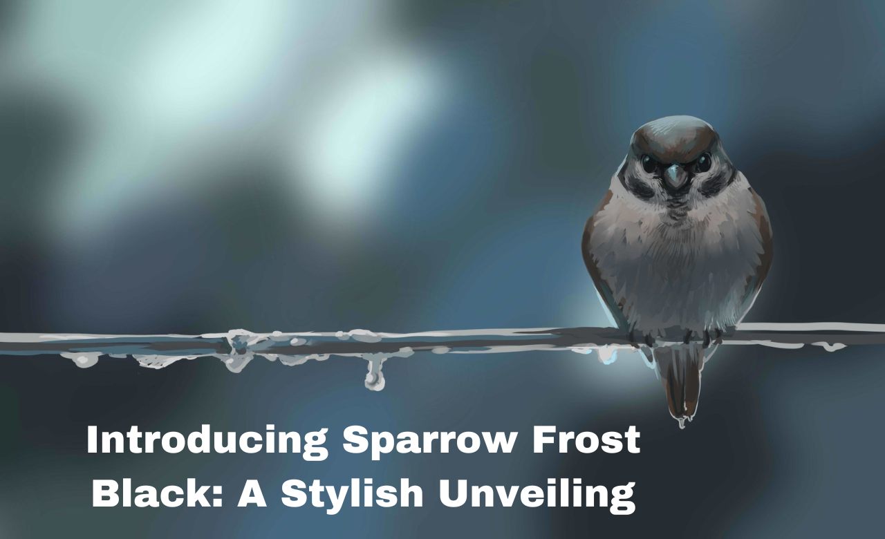 Sparrow Frost Black