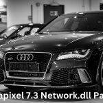 Gigapixel 7.3 Network.dll Patch