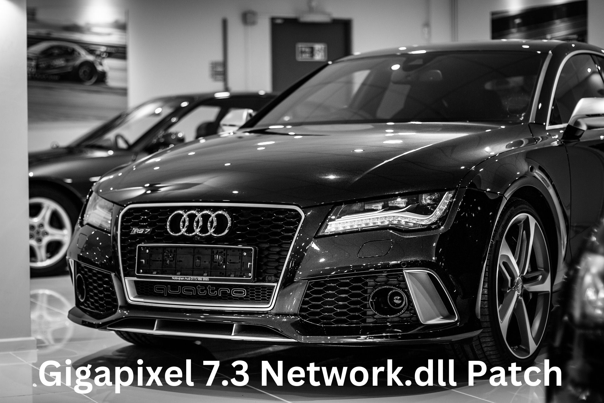 Gigapixel 7.3 Network.dll Patch