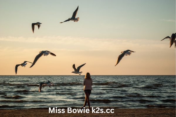 Miss Bowie k2s.cc